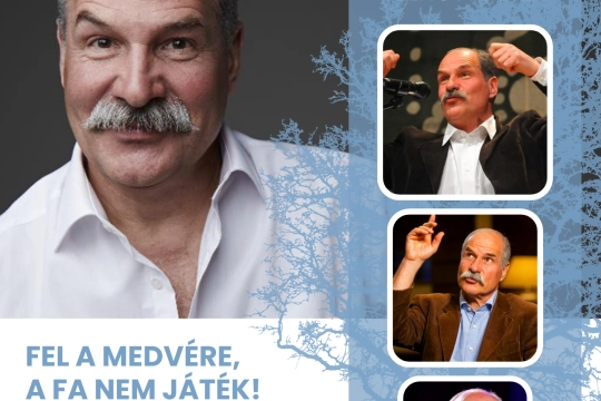 Berecz plakát